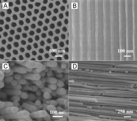 Sem Images Of The Surface A The Cross Sectional Views B Of The