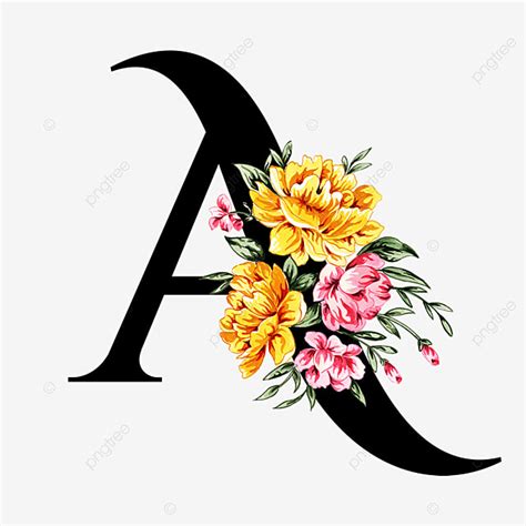 Acuarela Floral Alfabeto Letra A PNG Acuarela Pintar Pintado PNG Y