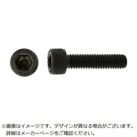 楽天ビック｜サンコーインダストリー｜sunco Sunco A2−100 ステンcap 4×8 （10本入