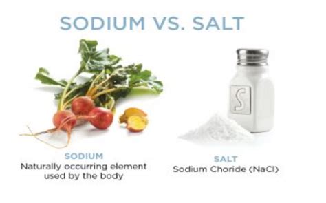 Differences Between Natural Forms Of Sodium Vs Synthetic Salt Cpr And