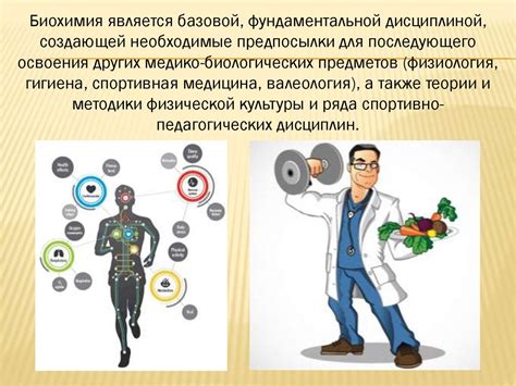 Биохимия спорта - презентация онлайн