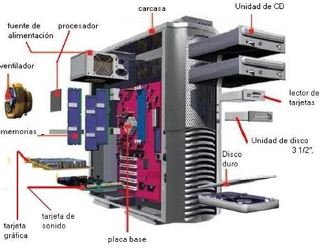 Componentes físicos del equipo de computo Quizizz