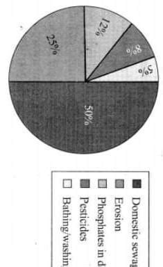 Study The Pie Chart Given Here And Write A Brief Paragraph On Water