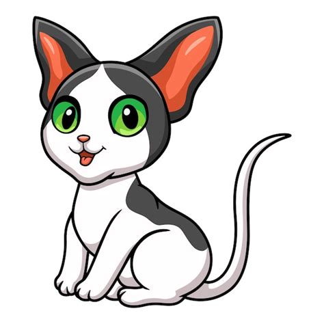 Sesión de dibujos animados lindo gato oriental Vector Premium