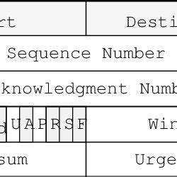 Modified TCP Packet Header Format | Download Scientific Diagram