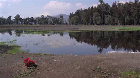 Bosque de Tláhuac YouTube