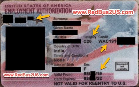 Sample H4 Ead Card By Uscis C26 Category Form I 766 Redbus2us