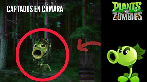 Plants Vs Zombies Captados En C Mara En La Vida Real Youtube