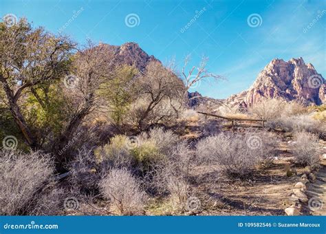 Wiosna Rancho Stanu Halny Park Nevada Usa Zdj Cie Stock Obraz