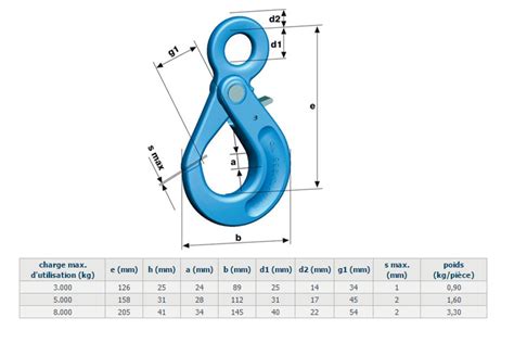Crochet à oeil à verrouillage automatique LHWP grade 120 Capacité de