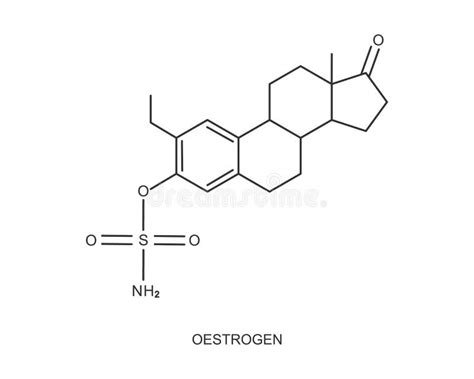 Oestrogen Icon Estrogen Chemical Molecular Structure Stock Vector