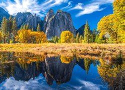 Las Przy Rzece Merced River