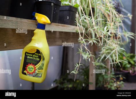 Baby Bio House Plant Insecticide To Keep The Pests Off The Plants
