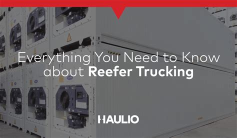 Reefer Container Stuffing Procedure At Clifford Boardman Blog
