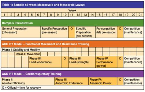 Components Of Periodization Training