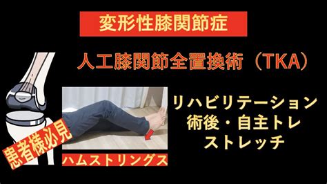 人工膝関節全置換術（tka）術後のリハビリテーション 術後初期から自主トレで行える、寝ながらハムストリングスストレッチ Youtube