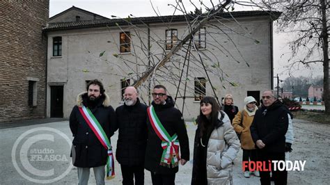 La Visita Di Bonaccini All Albero Dei Tutti