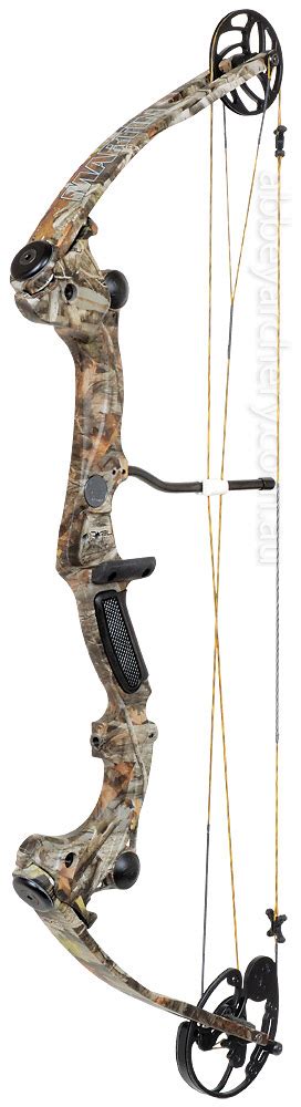 Martin Saber Compound Bow