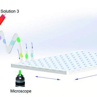 A Demonstration Of High Throughput Screening Platform That Combine