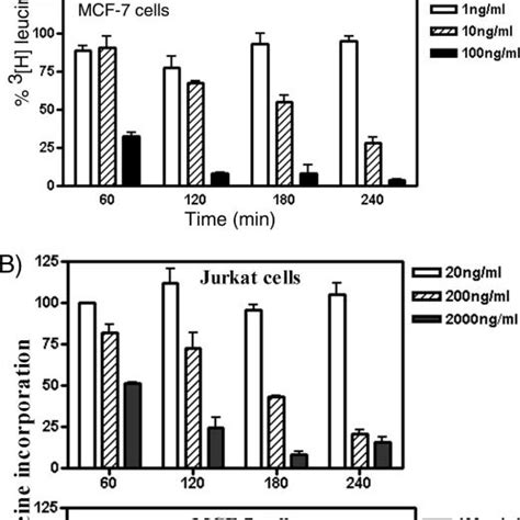 Kinetics Of Protein Synthesis Inhibition Cells Were Cultured With Or