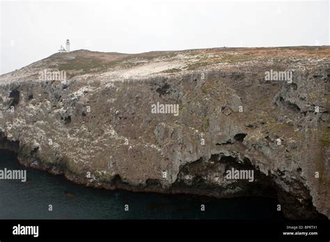 Cliff Wall Anacapa Island Channel Islands National Park California