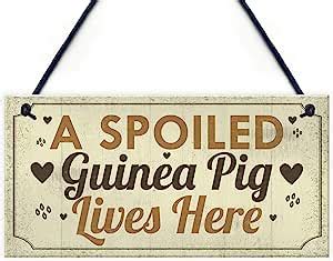 RED OCEAN A Spoiled Guinea Pig Lives Here Hanging Plaque Beautiful