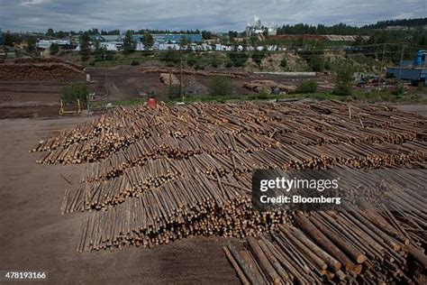 76 West Fraser Timber Co Stock Photos High Res Pictures And Images