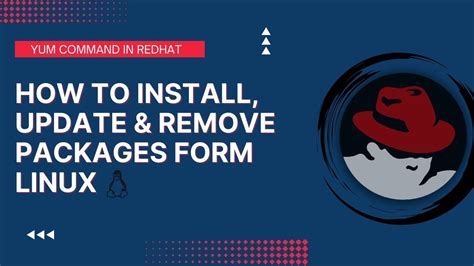 How To Install Update Remove Packages Form Linux Yum Command In