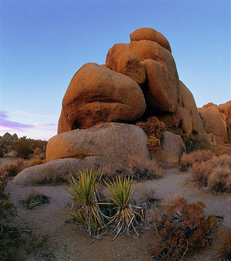 Desert Dawn Photograph By Paul Breitkreuz Fine Art America