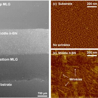 A Optical Microscope And B Sem Images Of The Mlg H Bn Mg Structure