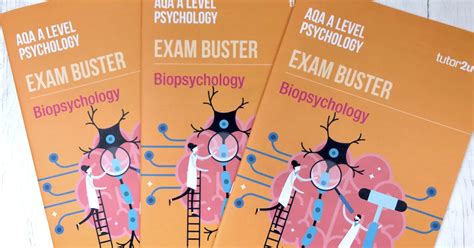 Biopsychology Exam Buster Revision Guide For Aqa A Level Psychology