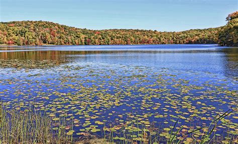Shepherds Lake Ringwood State Park N J Photograph By Allen Beatty