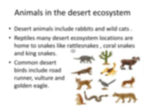 Solution Desert Ecosystem Article University Level Studypool