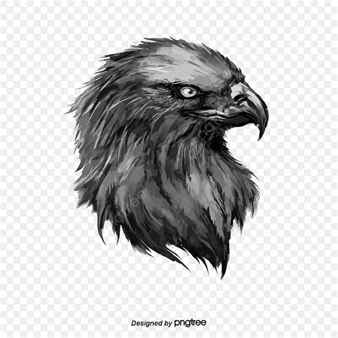 Vector Eagle Png Vetor De águia Águia Vetor Imagem Png E Vetor Para