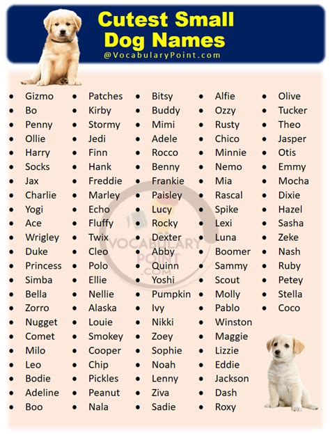 200+ Cutest Small Dog Names in 2024 | Small dog names, Dog names, Cute ...