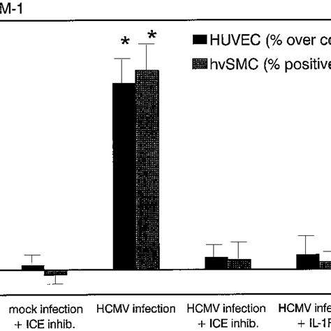 Il 1 Synthesis Inhibition Abrogates Increase In Icam 1 Expression By Download Scientific