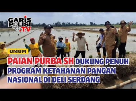 Paian Purba SH Dukung Penuh Program Ketahanan Pangan Nasional Di Deli