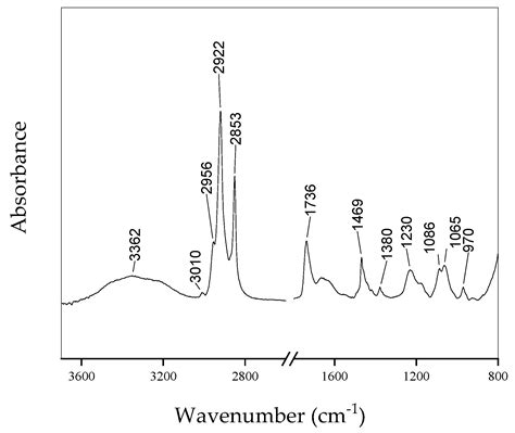 The Use Of Ftir And Raman Spectroscopy In Combination With