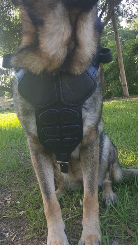 Leather Dog Harness Dog Armor Leather Harness Custom Hand