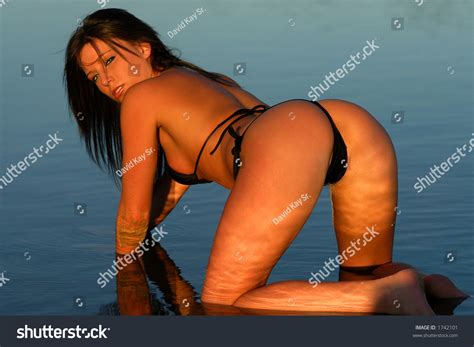 Thousand Erotic Bikini Royalty Free Images Stock Photos Pictures Shutterstock