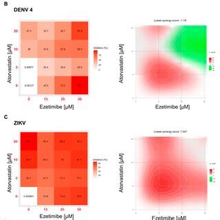 Antiviral Effect Of Ezetimibe And Atorvastatin The Doseresponse