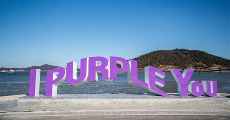 South Koreas Purple Island Newest Tourist Attraction In Sinan County