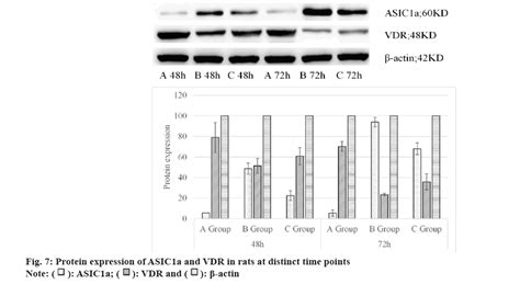 Acid Sensing Ion Channel 1a Signaling Target And Vitamin D Mediated