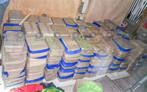 Fiji Drug Bust Police Chief Confirms One Of Biggest Seizures Ever Of