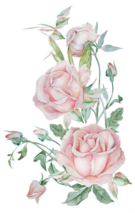 Pin By Cinthia Duim On Wallpapers Floral Painting Flower Drawing