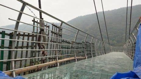 Rajgir Glass Bridge: Location, Time, Entry Fees in 2024