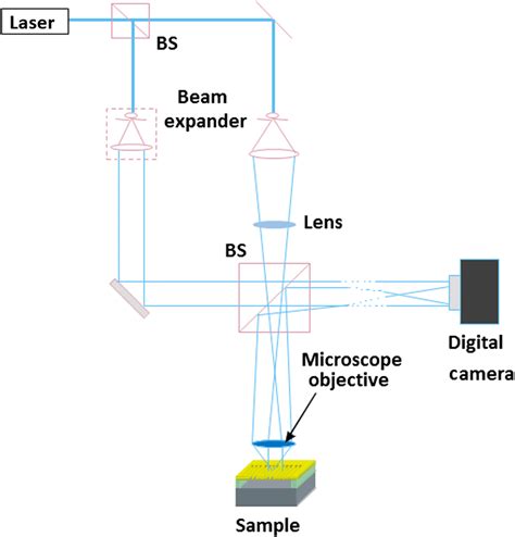 Optical Setup Of Digital Holographic Microscope Download Scientific