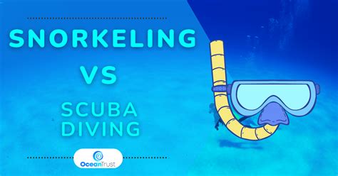 Snorkeling vs Scuba Diving: What's the Difference? | Ocean Trust