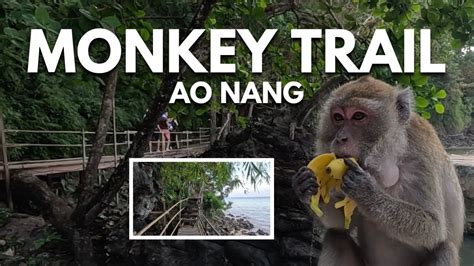 Walking The Monkey Trail In Ao Nang Krabi Youtube