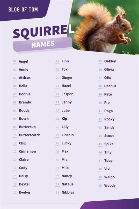 483 Squirrel Names (Awesome Male & Female Ideas)